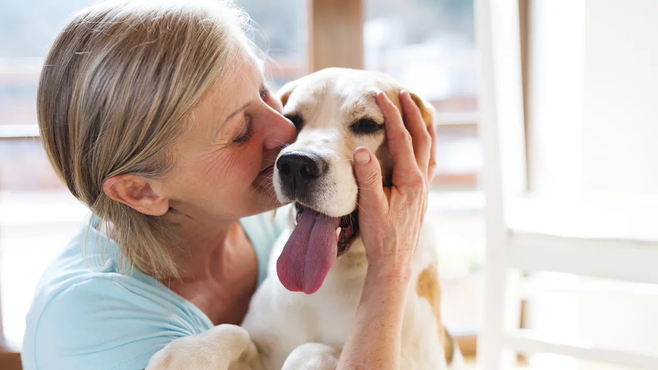 なぜ犬は飼い主に似てくるのか_自分の似た犬を選ぶ傾向がある