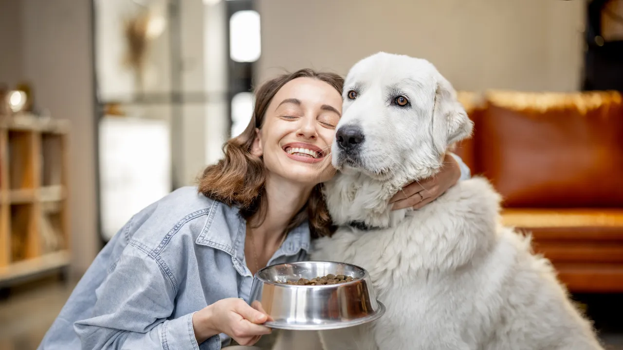 犬が便秘になる時に考えられる原因は水分不足