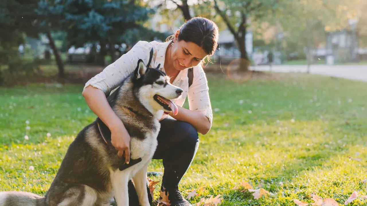 犬が木を食べるのはなぜ？味がするから