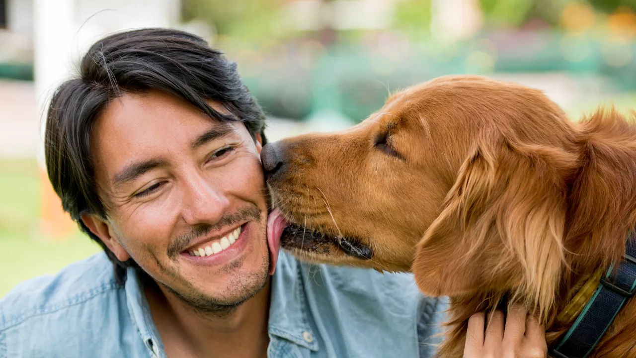 犬がトイレ以外でわざと失敗する理由は構ってほしい