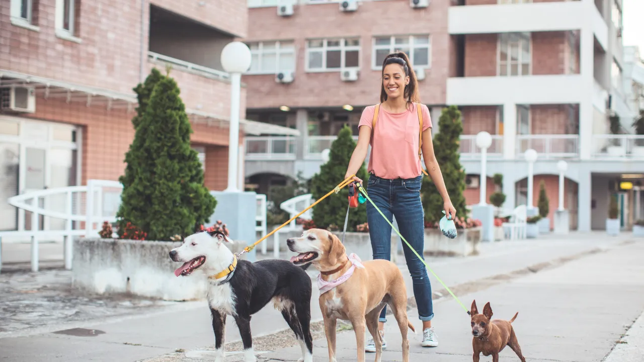 人の足元で寝る犬の気持ちは？飼い主を守ろうとしている