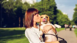 犬がしつこく舐めてくるのは何で？【原因や飼い主の対処法も解説】